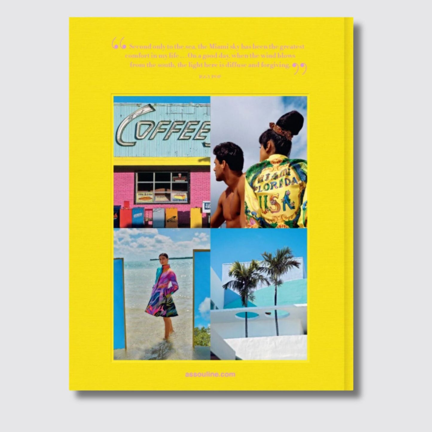 Assouline Miami Beach - Back View
