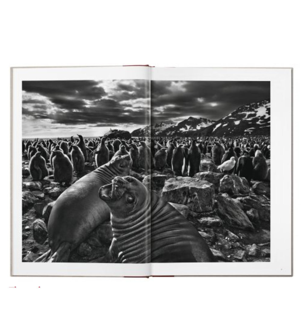 Taschen Sebastião Salgado. GENESIS
