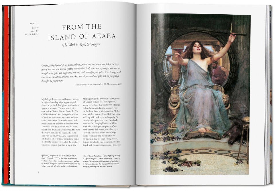 Taschen Witchcraft View 5