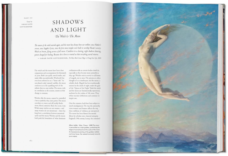 Taschen Witchcraft View 4