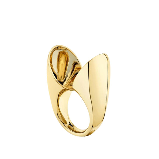 VRAM Echo Ring