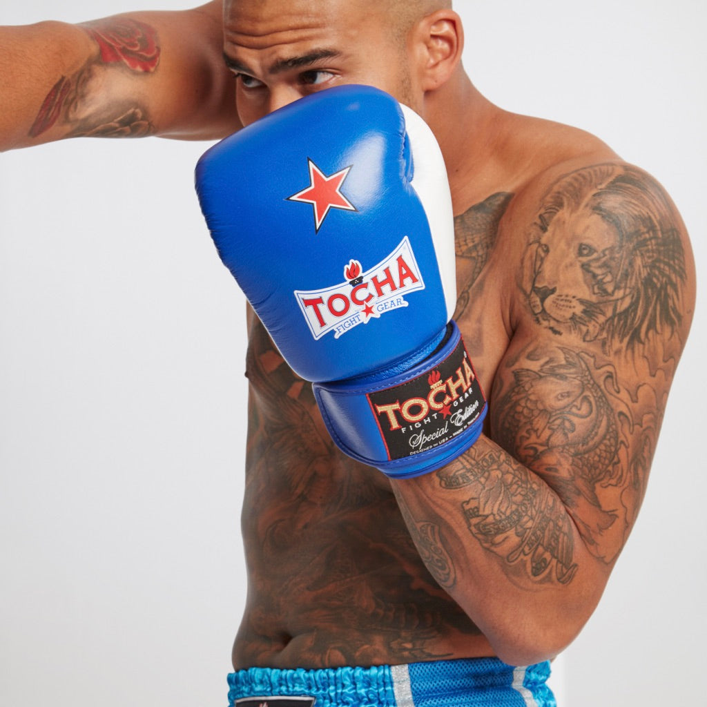 Tocha Fight Gear - Blue Muay Thai Gloves