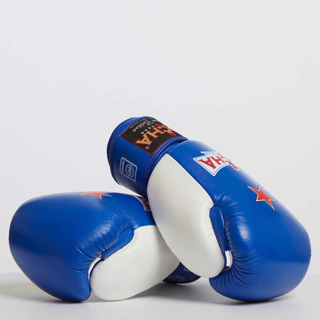 Tocha Fight Gear - Blue Muay Thai Gloves