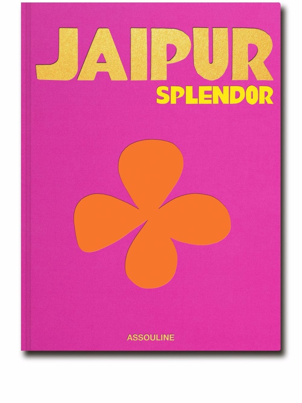Jaipur Splendor 1