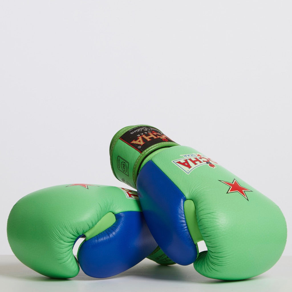 Tocha Fight Gear - Green Muay Thai Gloves