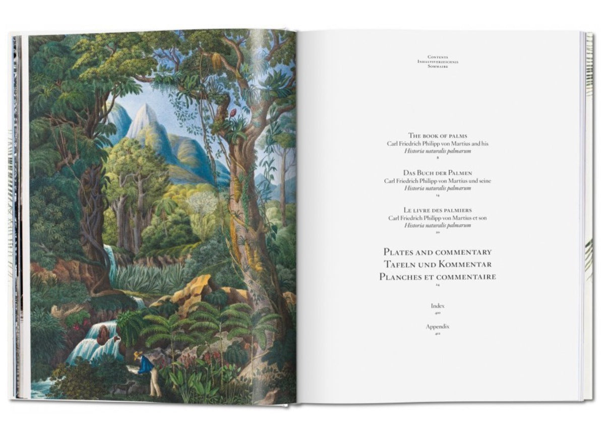 Taschen Martius. The Book of Palms