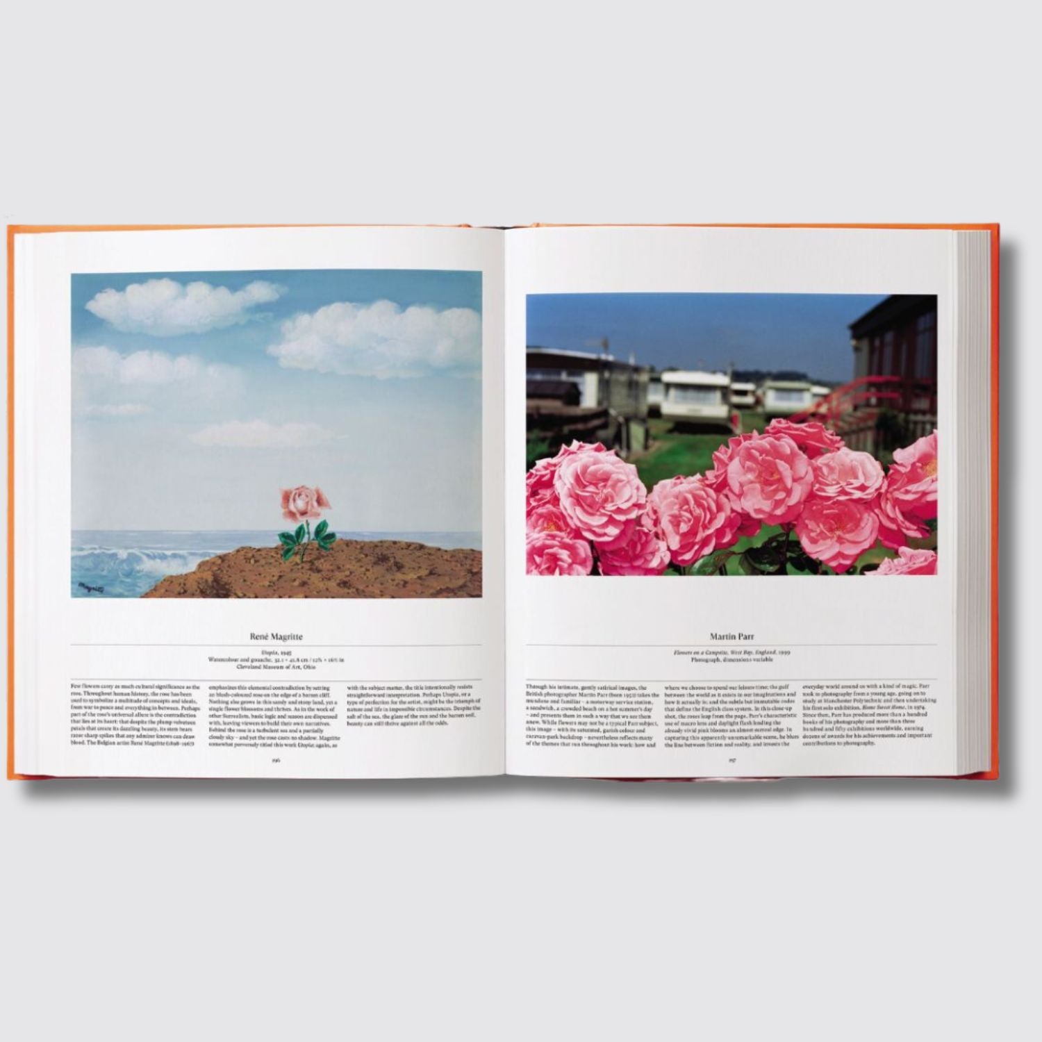Phaidon Flowers : Exploring the World in Bloom Open View 1
