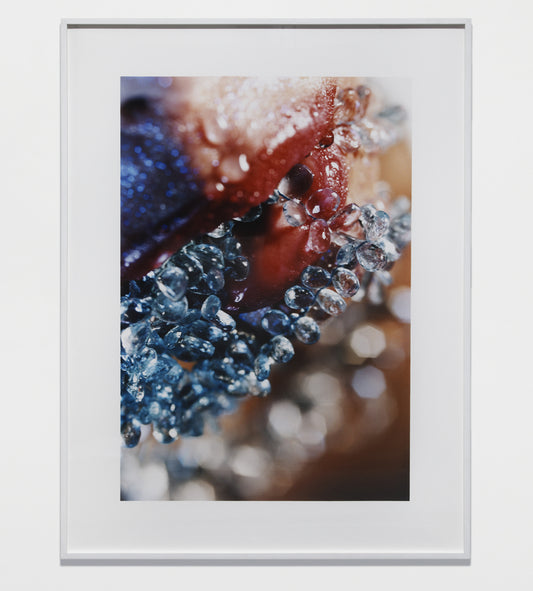 MARILYN MINTER Blue Tears, 2004