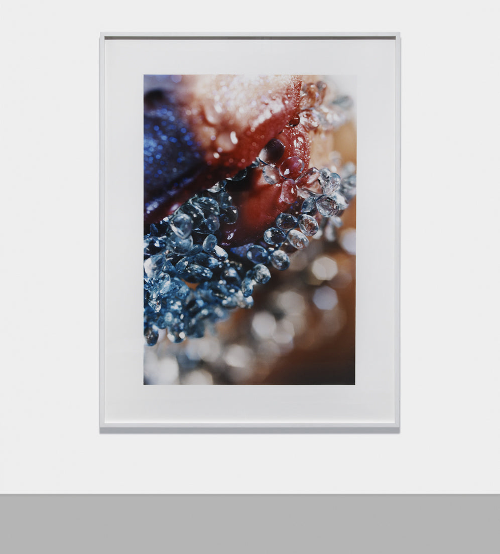 MARILYN MINTER Blue Tears, 2004