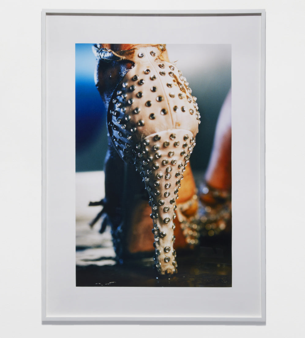 MARILYN MINTER / Studs, 2005