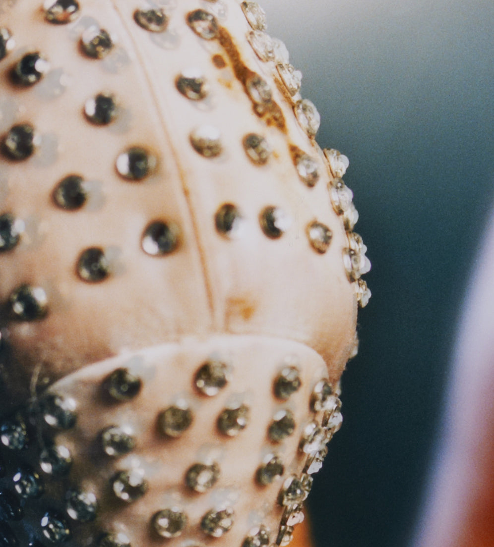 MARILYN MINTER / Studs, 2005