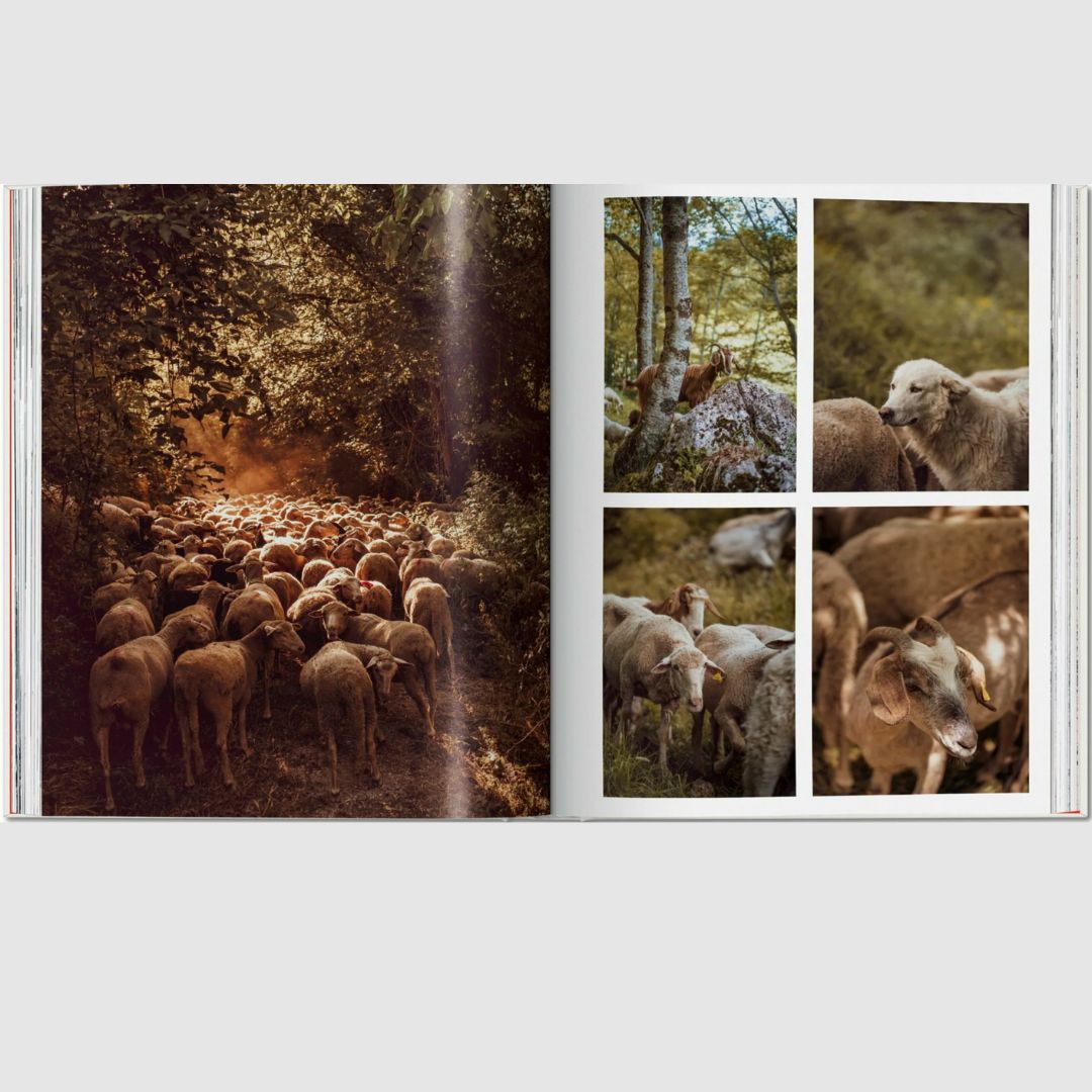 Tashcen Remote Experiences Extraordinary Travel Adventures from North to South Book