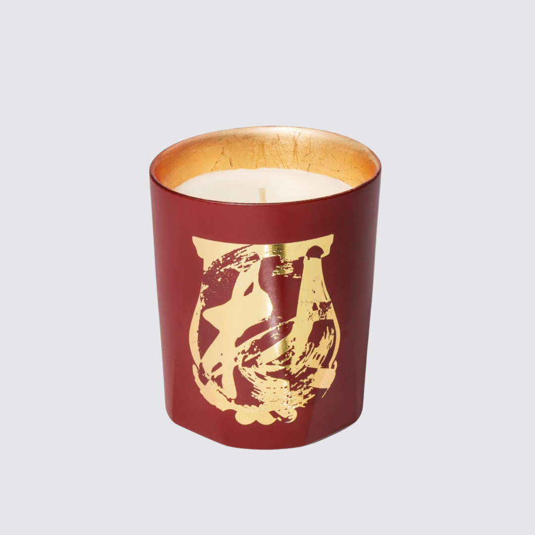 Trudon Terre à Terre Candle