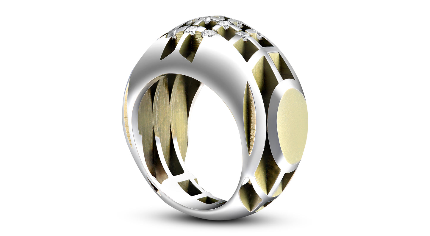 Wilfredo Rosado - Metropolis Ring